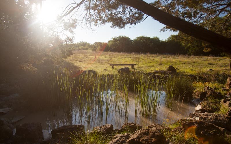Meditation retreat pond at Lotus Ranch in Wimberley, TX.
