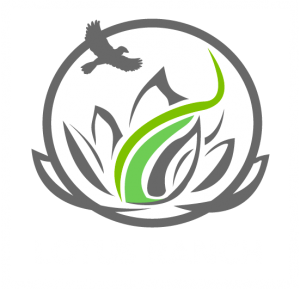 Lotus Ranch retreat center in Wimberley, Texas
